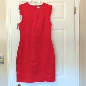NWT Babaton by Aritzia Etienne Dress Size 6